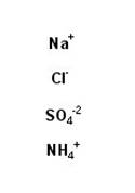 Ionen, Ammonium, Natrium, Chlor, Sulfat