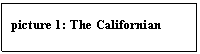 Text Box: picture 20: The Californian