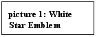 Text Box: picture 1: White Star Emblem 