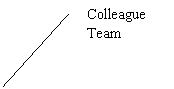 Line Callout 2 (No Border): Colleague Team