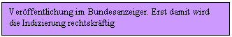 Text Box: Verffentlichung im Bundesanzeiger. Erst damit wird die Indizierung rechtskrftig