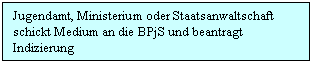 Text Box: Jugendamt, Ministerium oder Staatsanwaltschaft schickt Medium an die BPjS und beantragt Indizierung