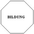 Octagon: BILDUNG

