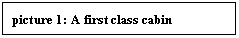 Text Box: picture 8: A first class cabin