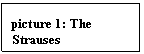 Text Box: picture 14: The Strauses