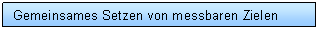 Text Box: Gemeinsames Setzen von messbaren Zielen 