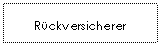 Text Box: Rckversicherer